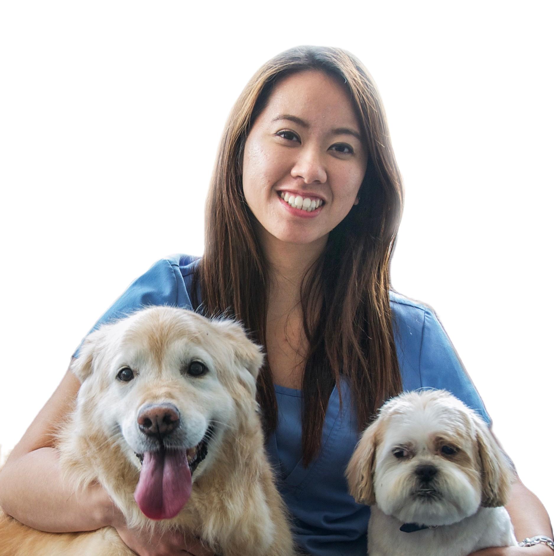 Dr Kneebone, veterinarian with dog